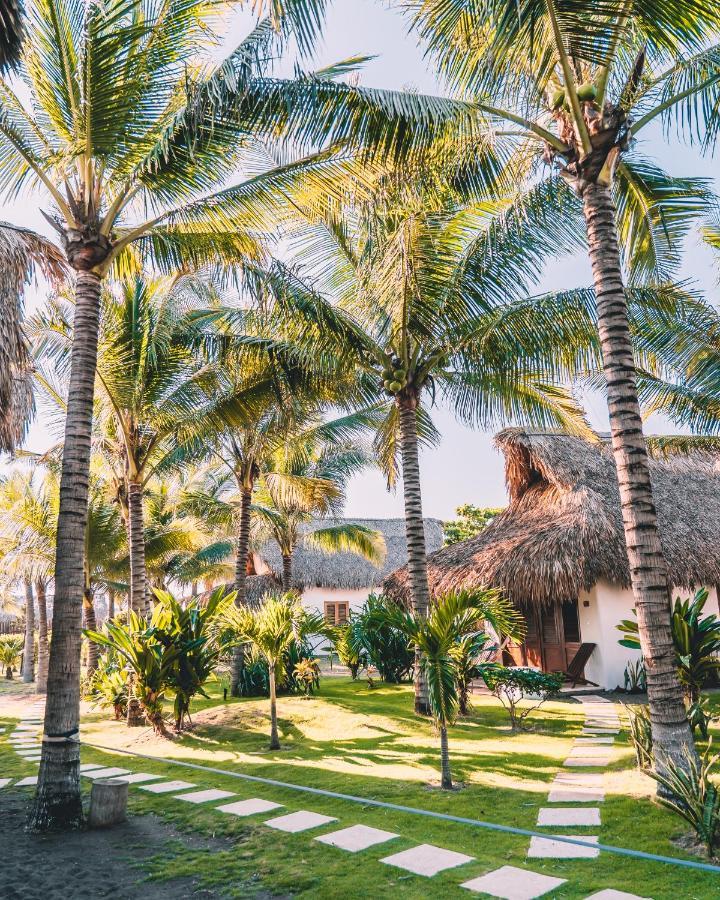 Отель Paredon Surf House Эль-Паредон-Буэна-Виста Экстерьер фото