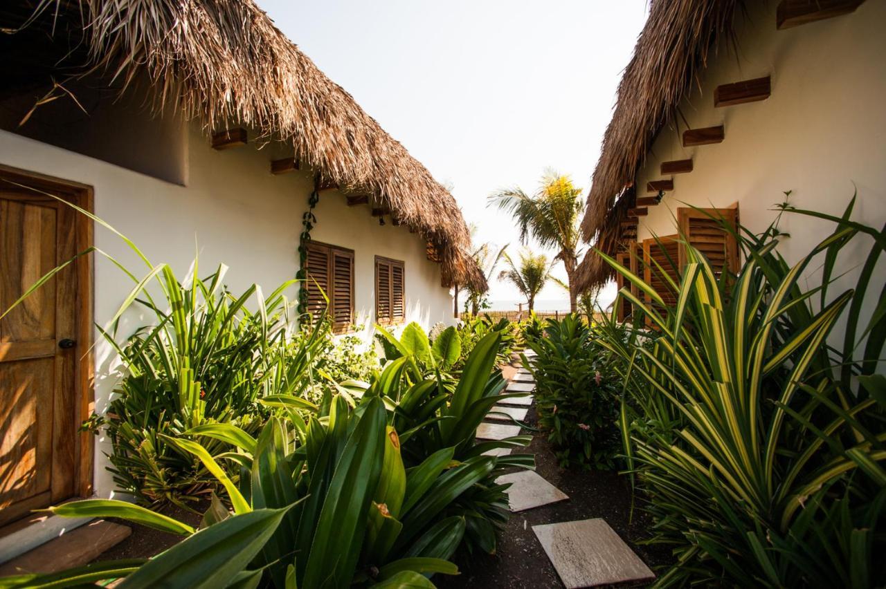 Отель Paredon Surf House Эль-Паредон-Буэна-Виста Экстерьер фото